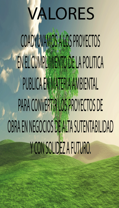 donate__image